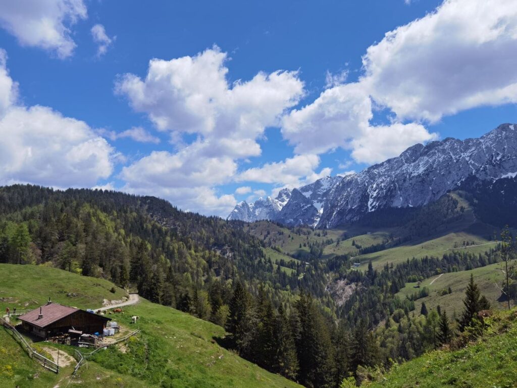 Am Brentenjoch Kufstein wandern - mit der traumhaften Kulisse des Kaisergebirge