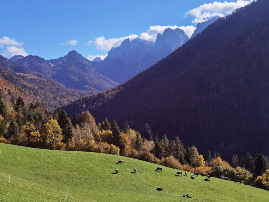 So schön kannst du durch das Kaisertal wandern