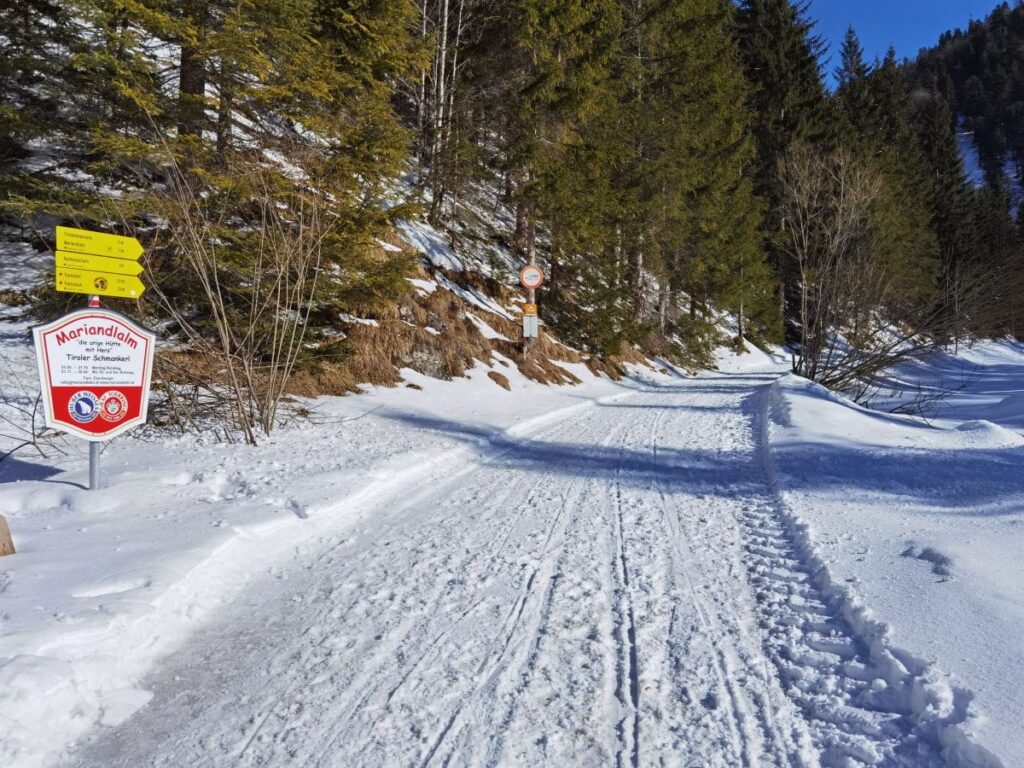 Rodeln Kufstein - Aufstieg zur Mariandlalm